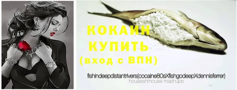 Cocaine Fish Scale  Кущёвская 